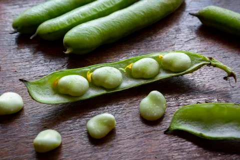 Fresh Broad Beans in a Pod Stock Photos