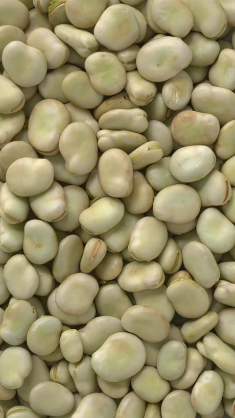 Fresh broad beans with a second skin background texture. Vertical video. Stock Footage 321064490