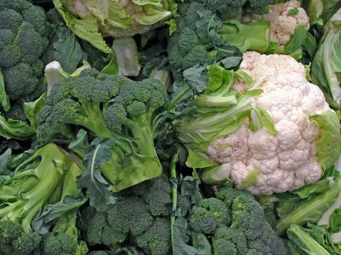 Fresh broccoli and cauliflower Foto stock