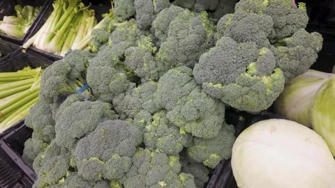 Fresh broccoli and celery displayed in a supermarket produce section Stock Footage 322030991