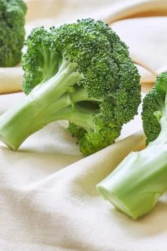 Fresh broccoli on beige tablecloth Stock Photos