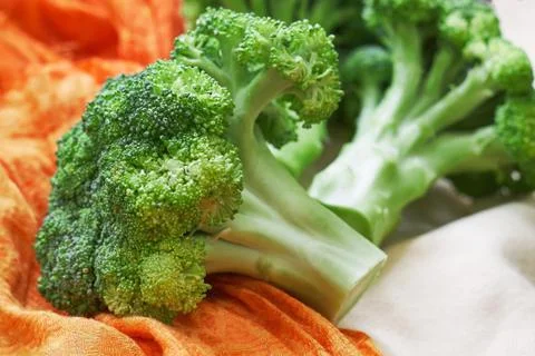 Fresh broccoli on bright tablecloth Stock Photos