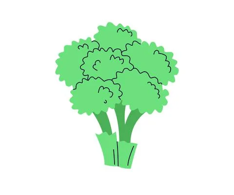 Fresh broccoli. Cartoon simple flat hand drawn style Stock Illustration