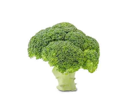 Fresh broccoli on a clean white background for healthy meals Stock Photos