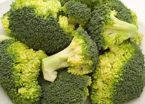 Fresh broccoli close up Stock Photos