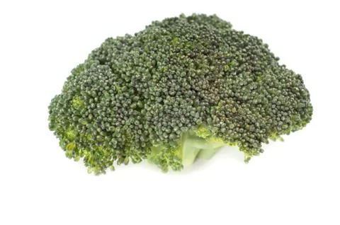 Fresh broccoli in closeup Stock-Fotos
