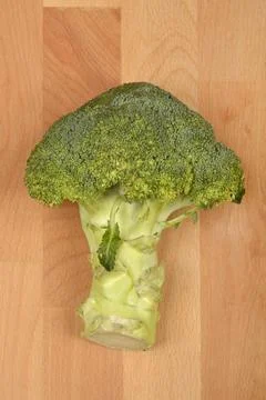 Fresh broccoli floret Stock Photos