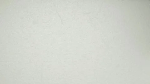 Fresh Broccoli Florets Placed on a Light Surface for a Beautiful Display and Stock Footage 284132051