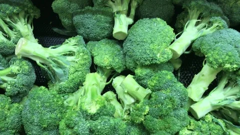 Fresh Broccoli   Stock Footage 80240266