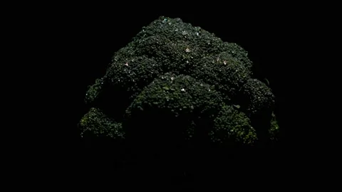Fresh Broccoli Video stock 169534159