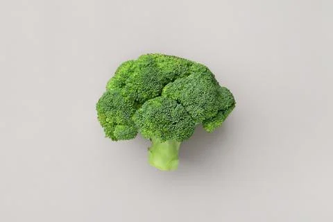 Fresh broccoli on a gray background. Stock Photos