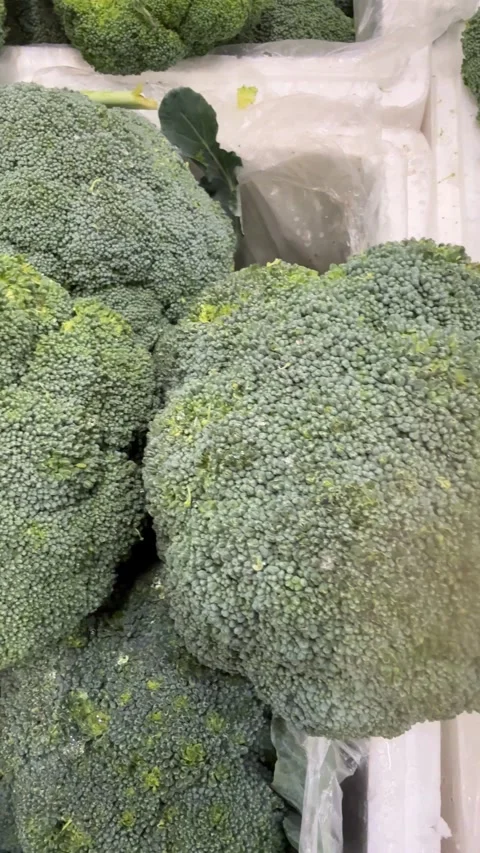Fresh broccoli heads displayed in close up, showing dense green florets and.. Stock Footage 348441745