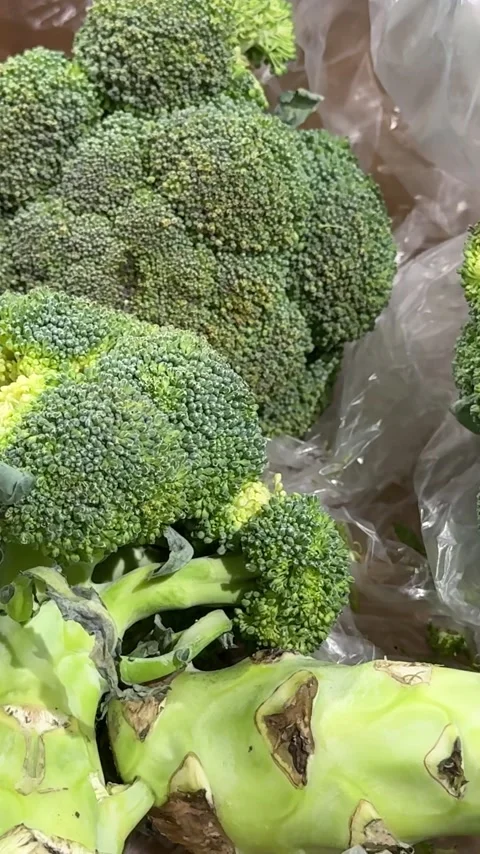 Fresh broccoli heads displayed in a large produce crate for sale at a grocery Stock Footage 346188850