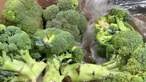 Fresh broccoli heads displayed in a large produce crate for sale at a grocery Stock Footage 346188960