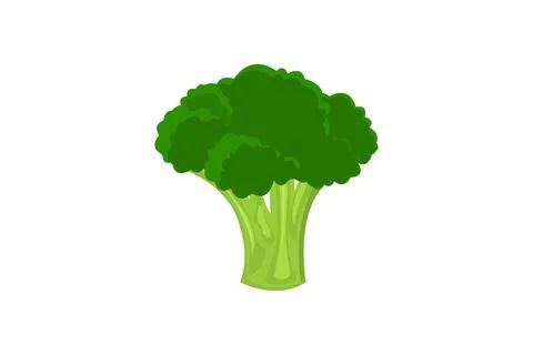 Fresh broccoli icon on white. Stock Illustration