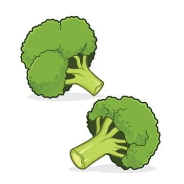 Fresh broccoli illustration Stock Illustration