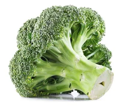 Fresh Broccoli isolated Stock Photos