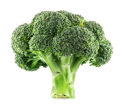Fresh Broccoli isolated Stock Photos