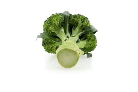 Fresh broccoli isolated Stock Photos