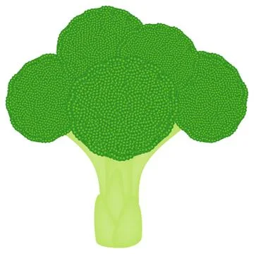 Fresh broccoli isolated on a white background side view Stock Illustration