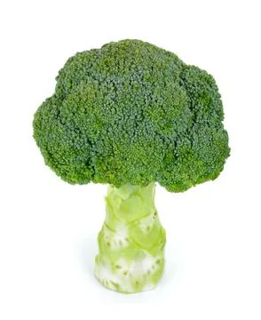 Fresh broccoli isolated on the white background Stock Photos