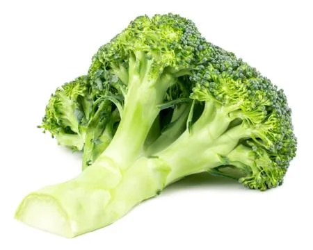 Fresh broccoli isolated on white background. With clipping path. Full depth o Stock Photos
