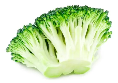 Fresh broccoli isolated on white background. With clipping path. Full depth o Stock Photos
