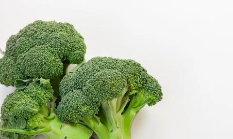 Fresh broccoli isolated on white background with copy space Stock Photos
