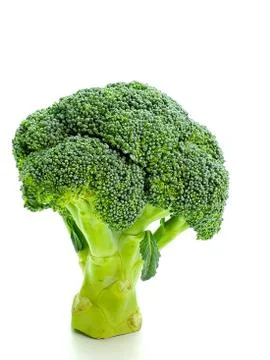 Fresh broccoli isolated on a white background. Healthy food. diet Stock Photos