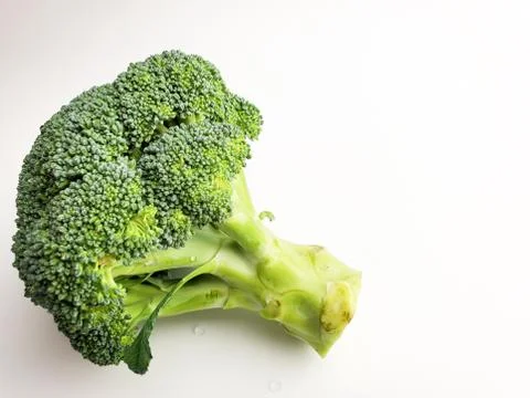 Fresh broccoli isolated on a white background. Green broccoli Stock Photos