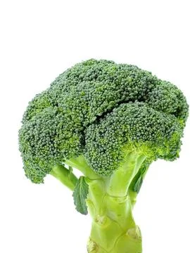 Fresh broccoli isolated on a white background. Healthy food. diet Stock Photos
