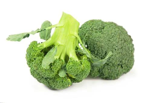 Fresh broccoli isolated on the white background Stock Photos