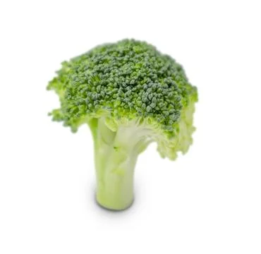 Fresh broccoli isolated on white background for cooking Stock Photos