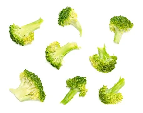 Fresh broccoli isolated on white background Stock Photos