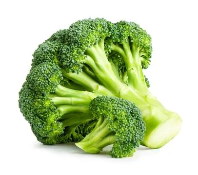 Fresh broccoli isolated on white Stock Photos
