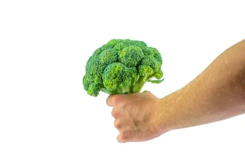 Fresh broccoli Stock Photos