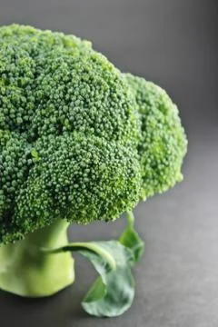 Fresh broccoli Stock Photos