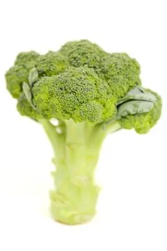 Fresh broccoli Stock Photos