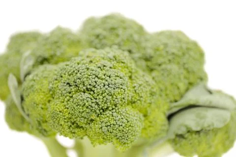 Fresh broccoli Stock Photos