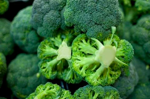 Fresh broccoli Stock Photos