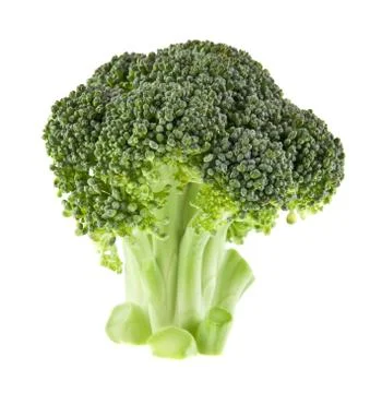 Fresh broccoli Stock Photos