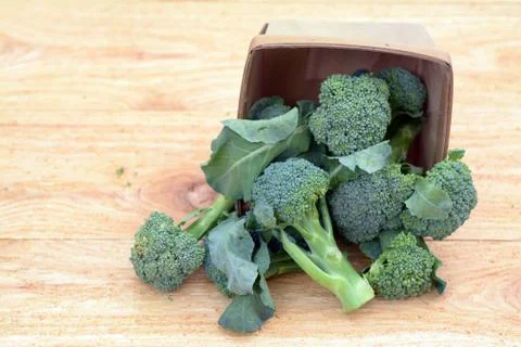 Fresh broccoli Stock Photos