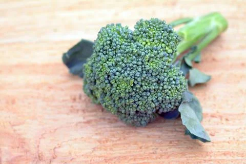 Fresh broccoli Stock Photos