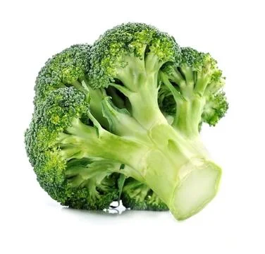 Fresh broccoli . Stock Photos