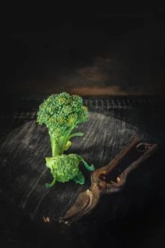 Fresh broccoli in a rustic style. Low key. Art. Copy space. Stock Photos