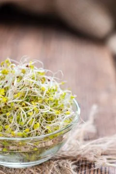 Fresh Broccoli Sprouts Stock Photos