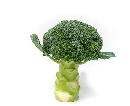 Fresh broccoli vegetable isolated on white background. vegan food concept. Stock Photos