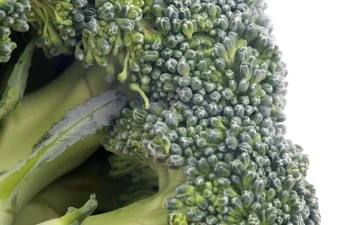 Fresh Broccoli on white background , close up , texture background Foto stock