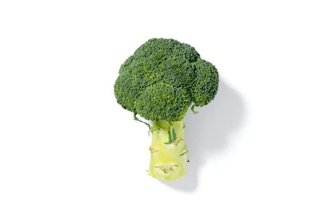 Fresh Broccoli on a White Background Foto stock