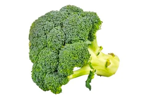 Fresh broccoli on a white background 스톡 사진